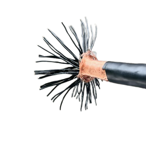 �����������ǲ���Z6���й�������ҳ����