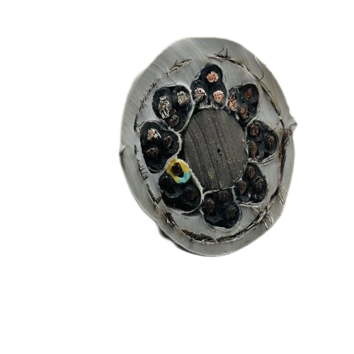 �����������ǲ���Z6���й�������ҳ����