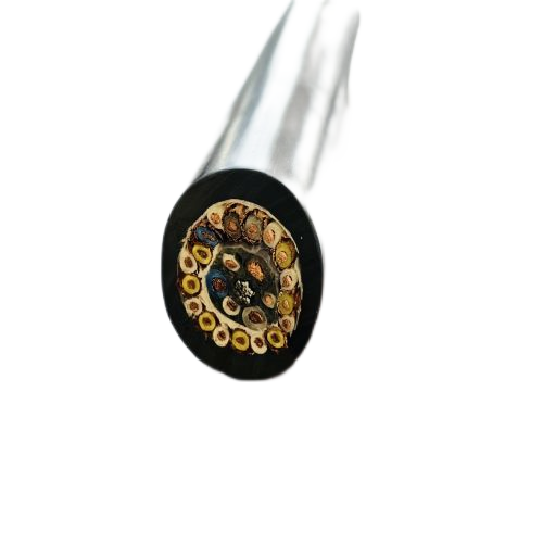 �����������ǲ���Z6���й�������ҳ����