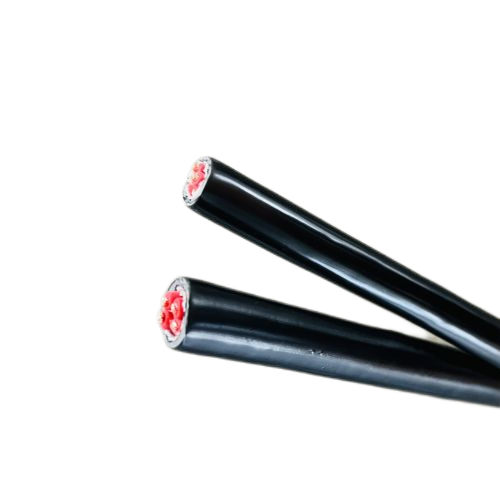 尊龙人生就是博·Z6「中国区」首页官网