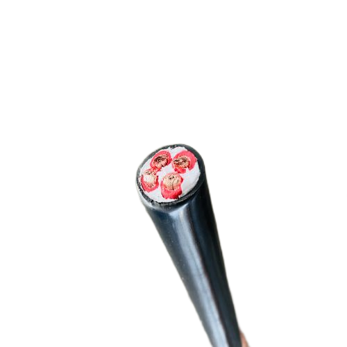 尊龙人生就是博·Z6「中国区」首页官网