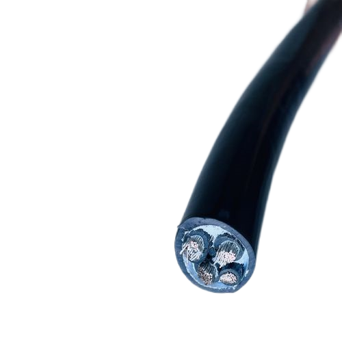 尊龙人生就是博·Z6「中国区」首页官网