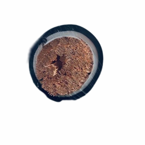 尊龙人生就是博·Z6「中国区」首页官网