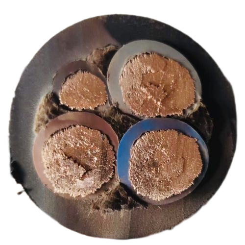 尊龙人生就是博·Z6「中国区」首页官网