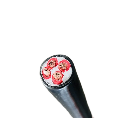 尊龙人生就是博·Z6「中国区」首页官网