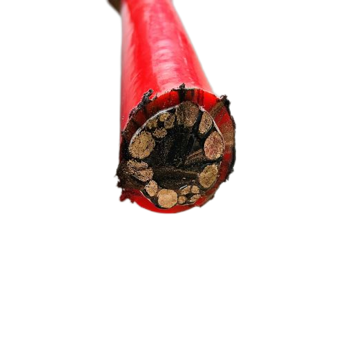 尊龙人生就是博·Z6「中国区」首页官网