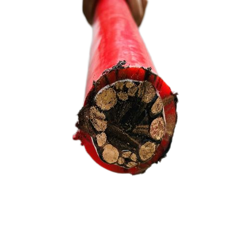 尊龙人生就是博·Z6「中国区」首页官网