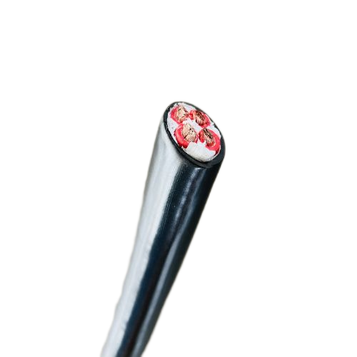 尊龙人生就是博·Z6「中国区」首页官网