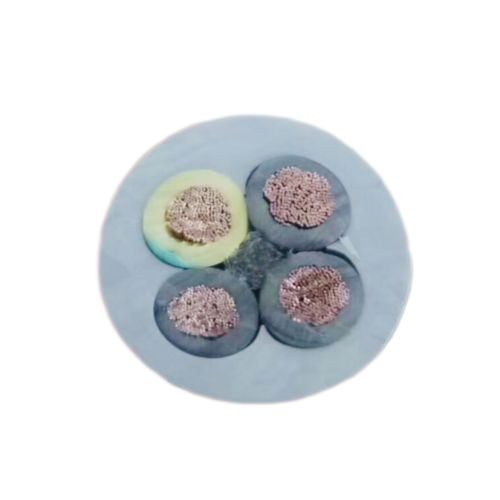 尊龙人生就是博·Z6「中国区」首页官网