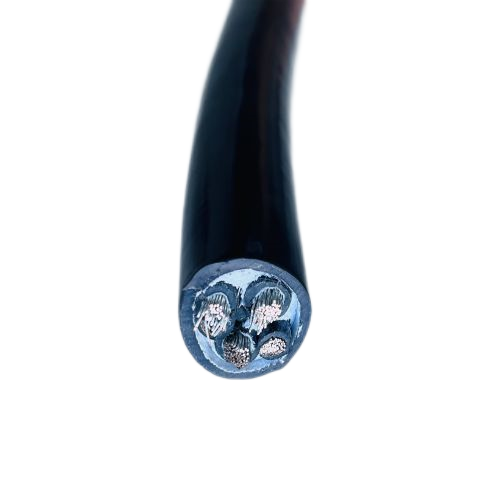 尊龙人生就是博·Z6「中国区」首页官网