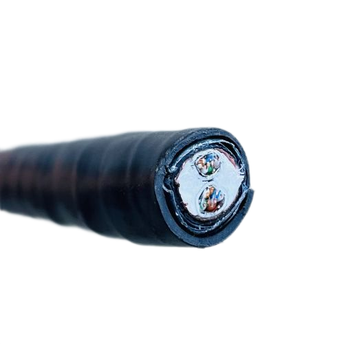 尊龙人生就是博·Z6「中国区」首页官网