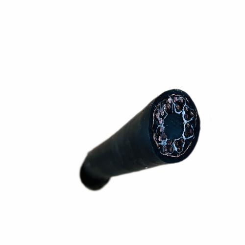 �����������ǲ���Z6���й�������ҳ����