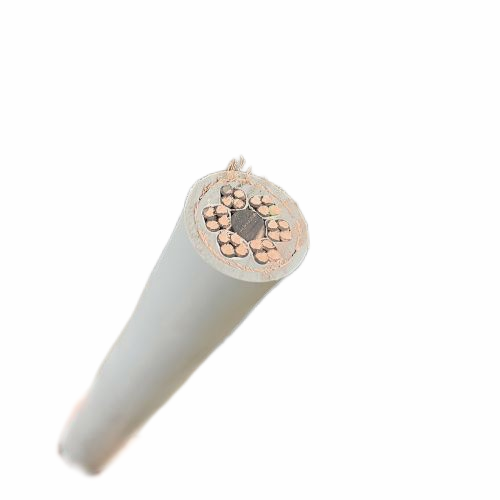 �����������ǲ���Z6���й�������ҳ����