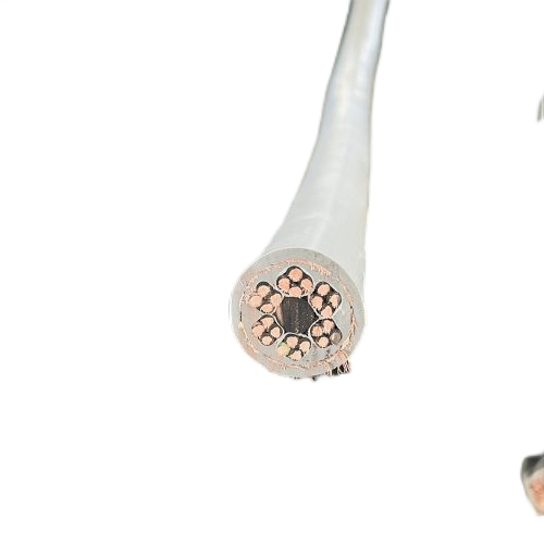 �����������ǲ���Z6���й�������ҳ����