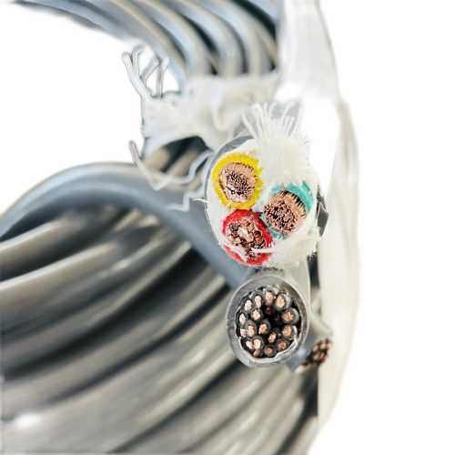 尊龙人生就是博·Z6「中国区」首页官网