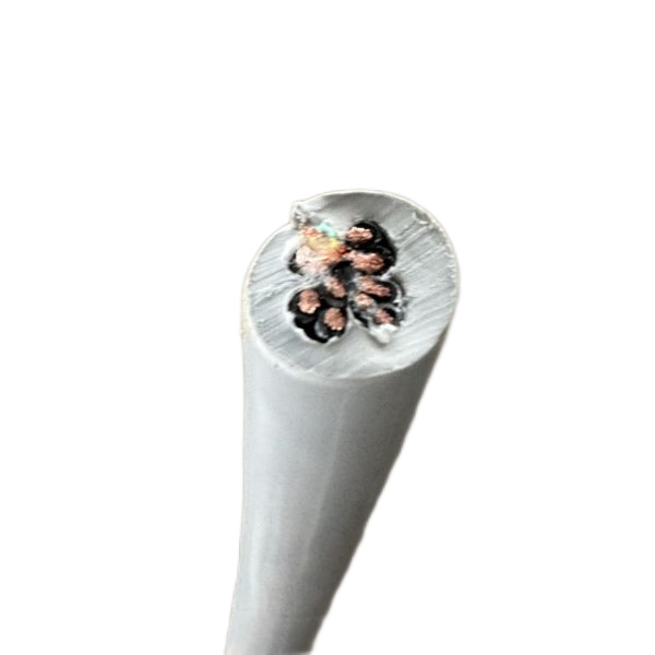 尊龙人生就是博·Z6「中国区」首页官网