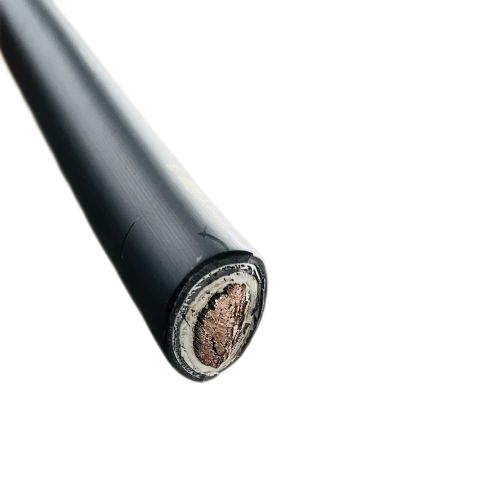 尊龙人生就是博·Z6「中国区」首页官网