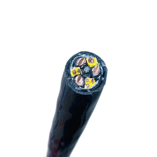 尊龙人生就是博·Z6「中国区」首页官网