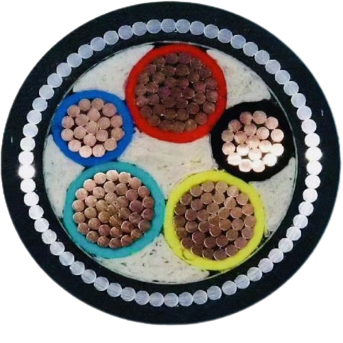 尊龙人生就是博·Z6「中国区」首页官网