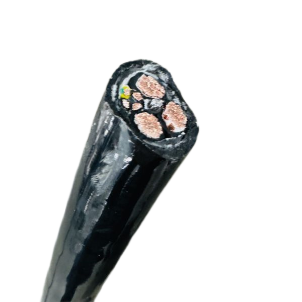 尊龙人生就是博·Z6「中国区」首页官网