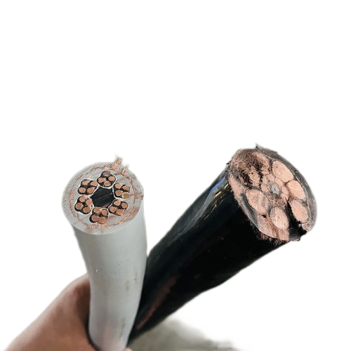 �����������ǲ���Z6���й�������ҳ����