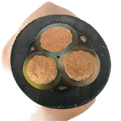 尊龙人生就是博·Z6「中国区」首页官网