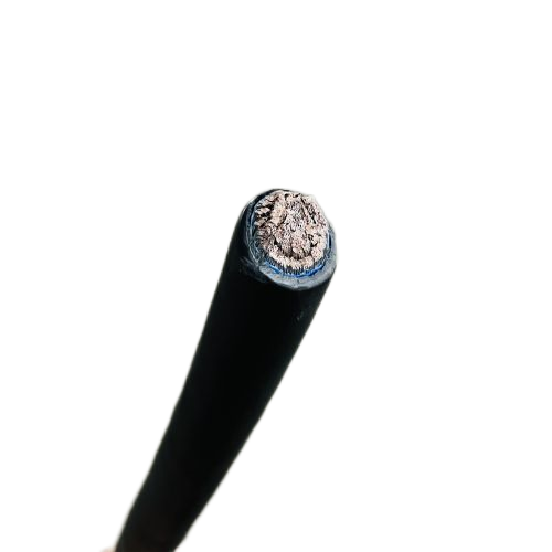 尊龙人生就是博·Z6「中国区」首页官网