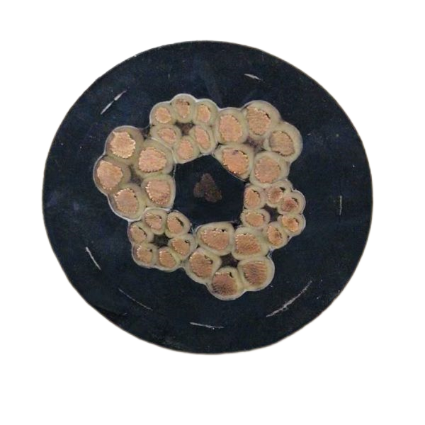 尊龙人生就是博·Z6「中国区」首页官网