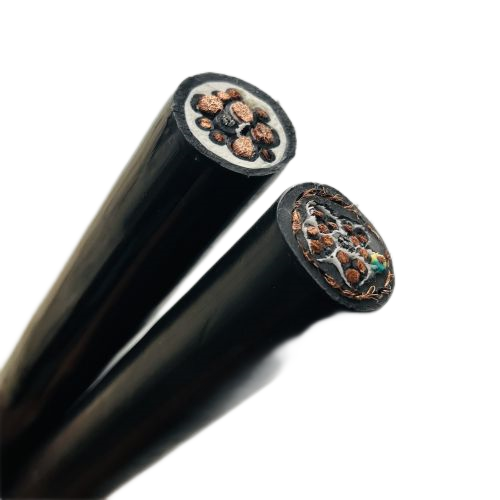 尊龙人生就是博·Z6「中国区」首页官网