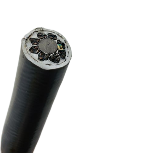 �����������ǲ���Z6���й�������ҳ����