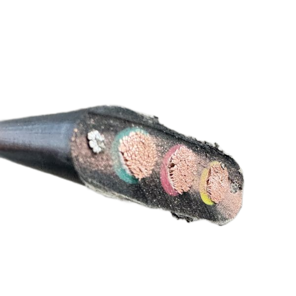 �����������ǲ���Z6���й�������ҳ����