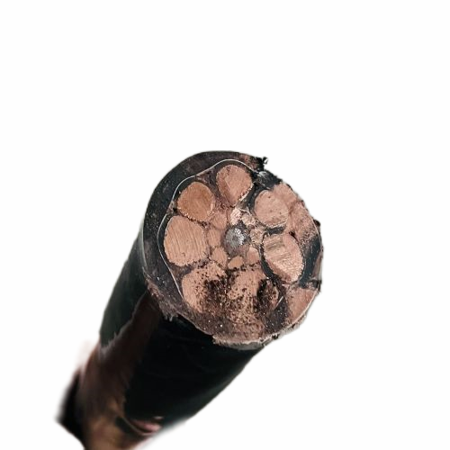 尊龙人生就是博·Z6「中国区」首页官网