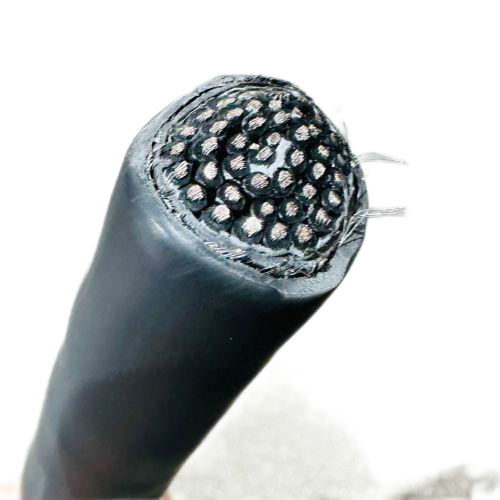 尊龙人生就是博·Z6「中国区」首页官网