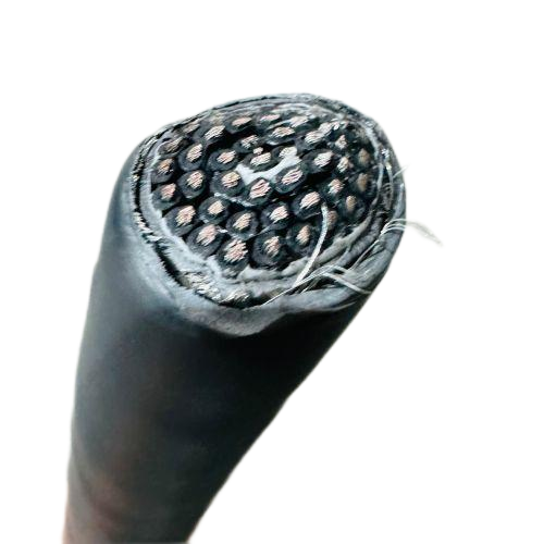 尊龙人生就是博·Z6「中国区」首页官网