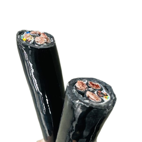 尊龙人生就是博·Z6「中国区」首页官网