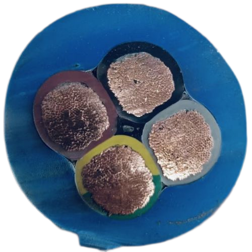 尊龙人生就是博·Z6「中国区」首页官网