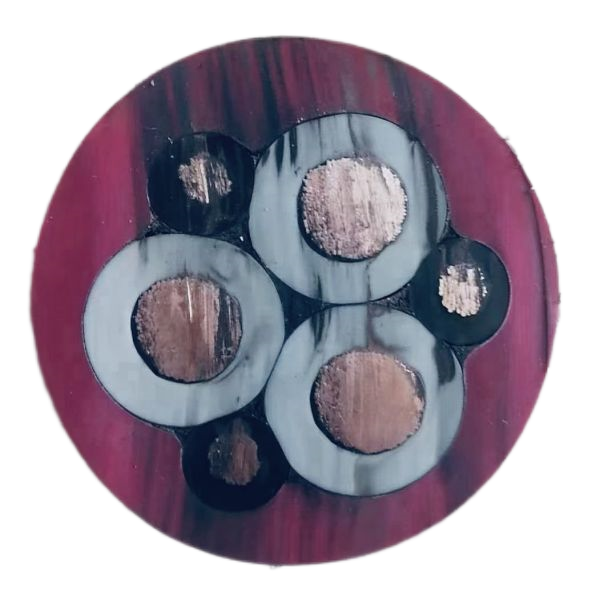 尊龙人生就是博·Z6「中国区」首页官网