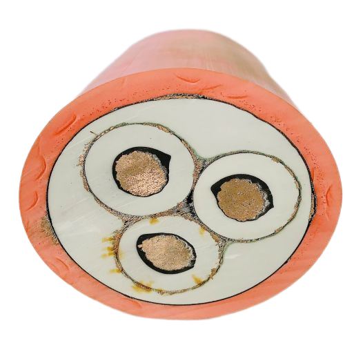 尊龙人生就是博·Z6「中国区」首页官网