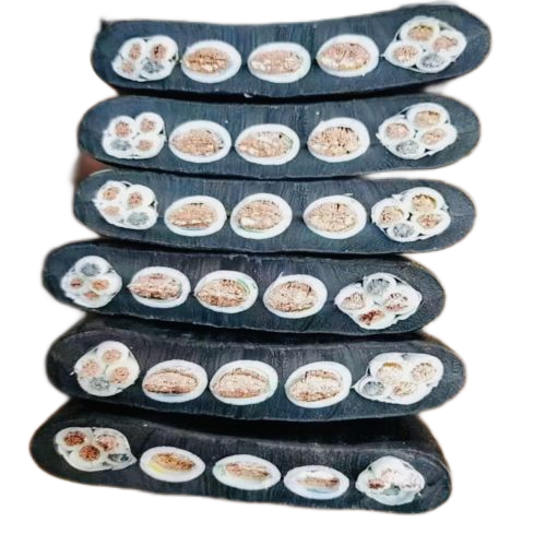 尊龙人生就是博·Z6「中国区」首页官网