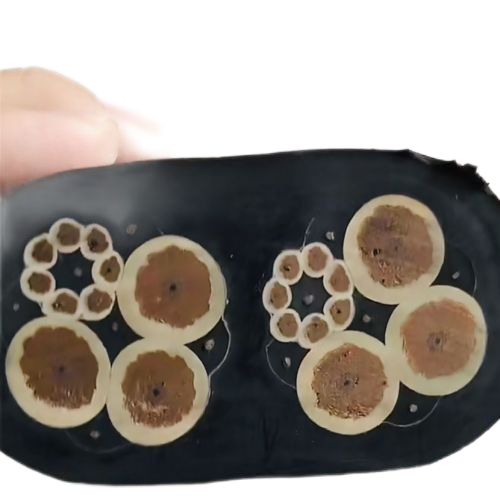 �����������ǲ���Z6���й�������ҳ����