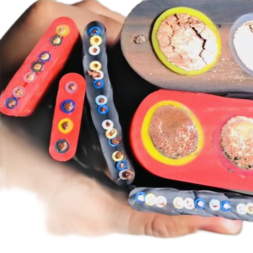 �����������ǲ���Z6���й�������ҳ����