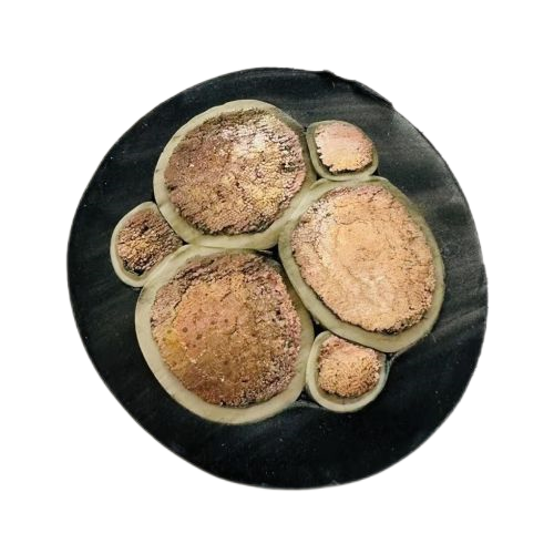 �����������ǲ���Z6���й�������ҳ����