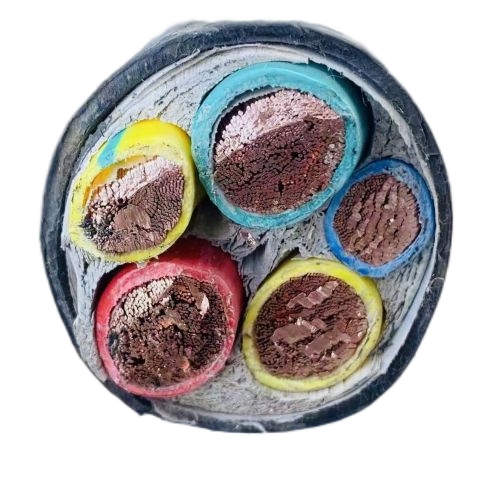 尊龙人生就是博·Z6「中国区」首页官网