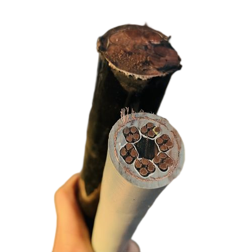 尊龙人生就是博·Z6「中国区」首页官网