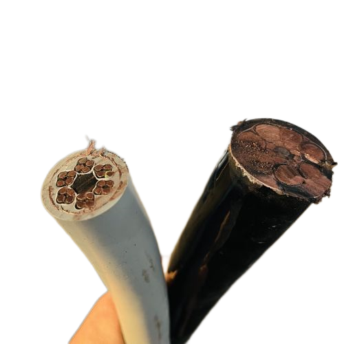 尊龙人生就是博·Z6「中国区」首页官网