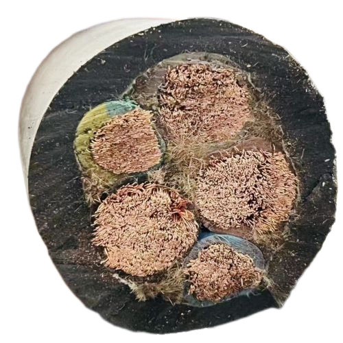 尊龙人生就是博·Z6「中国区」首页官网