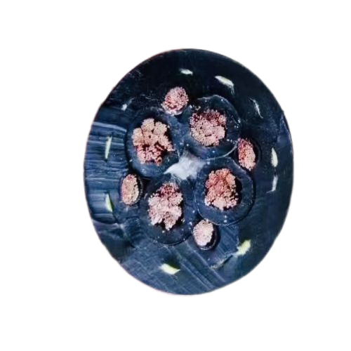 尊龙人生就是博·Z6「中国区」首页官网