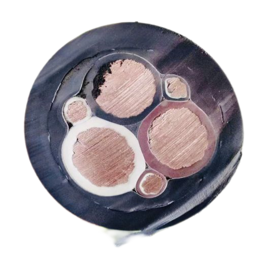 尊龙人生就是博·Z6「中国区」首页官网