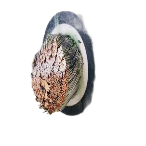 尊龙人生就是博·Z6「中国区」首页官网