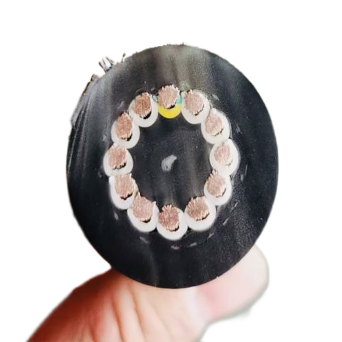 尊龙人生就是博·Z6「中国区」首页官网